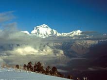 Nepal_119c_44_F_Ghorapani_Poon_Hill_Dhaulagiri