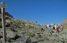 TM_Viso_2015-046