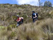 Ecuador_0586_16_Carihuairazo