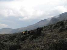 Ecuador_0684_16_rif_nuevo_horizonte