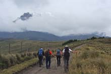 Ecuador_0321_16_Vicuna_Trek