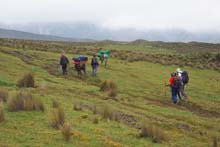 Ecuador_0331_16_Vicuna_Trek