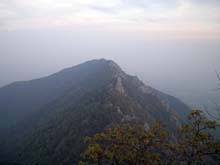 Freidour_26_Monte_brunello
