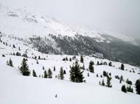 Cima_Marmotta_40_D_rif_Corsi