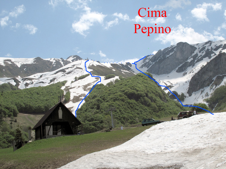 Cima_Pepino_09_01_limone_1400