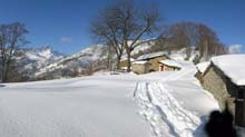 P_Selassa_08_17_Baite_Q_1200