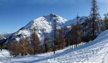Colletto_Verde_V_Mandarini_12_07_M_Plane