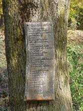Camerlo_Monsuffietto_11_33_D_Preghiera_Viandante