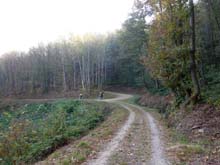 Camerlo_Monsuffietto_11_35_D_bivio_Q_678