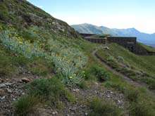 Colle_Tenda_Colle_Perla_11_48