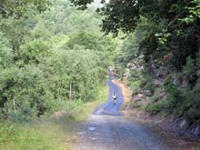 Forno_A_Sellery_Monte_11_07