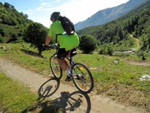 Forno_A_Sellery_Monte_11_17
