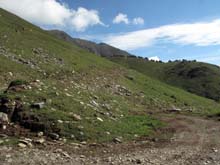 Forno_A_Sellery_Monte_11_20