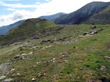 Forno_A_Sellery_Monte_11_29_Fortino