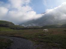 Lago_Moncenisio_Forte_Roncia_11_03