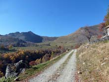 Forno_Lemie_A_Ovarda_12_29