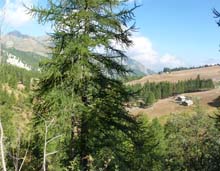 Giro_Rocca_Meia_Canosio_Col_Fauniera_12_022_Lago_X