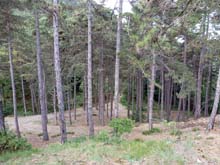 Piossasco_Campetto_M_S_Giorgio_C_Pre_13_26