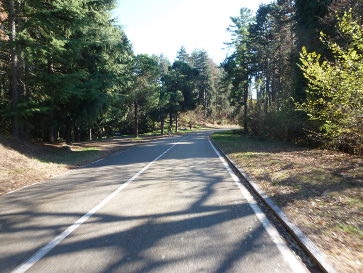 Trav_Collina_TO_N_S_13_112_panoramica