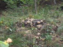 V_Focchiardo_C_Fumavecchia_13_14