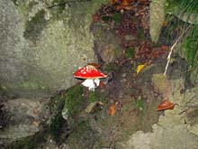 V_Focchiardo_C_Fumavecchia_13_50
