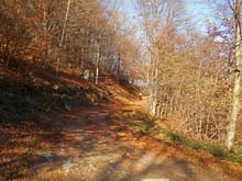 Porte_C_Vaccera_C_Bule_14_22