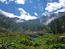 Villar_Pellice_A_Ciabraressa_14_29