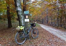 MTB_Giaveno_C_Braida_C_Bione_Merlo_Tonda_15_18