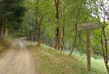 MTB_Chiomonte_A_Arguel_15_03