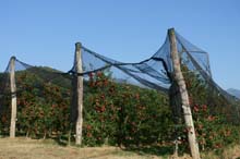 MTB_Giro_cave_luserna_18_09