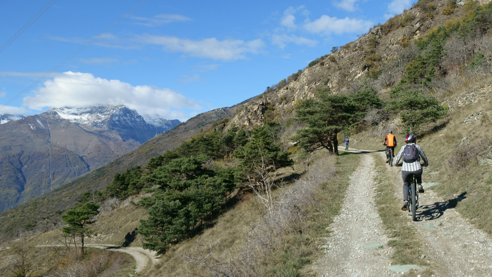 024_Alpe_Sollietto_Q_1491_22_25