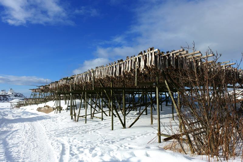 Lofoten_18_E10_17_Henningsvaer