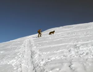 Quasi in cima