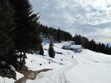 Col_Quaterna_16_032