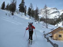 Forcella_Pin_17_15