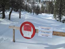 Forcella_Pin_17_16