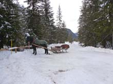 Tre_Cime_Lavaredo_Trav_Sasso_Sesto_15_146