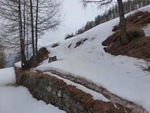 Col_Menouve_N_13_05