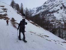 Col_Menouve_N_13_08