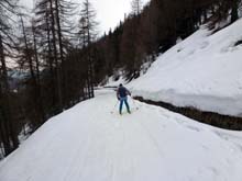 Col_Menouve_N_13_77