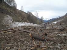 Cresta_Corleans_2806_17_60