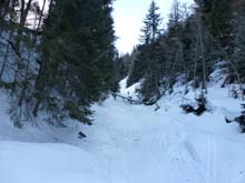 Testa_Cordella_12_07