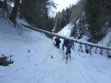 Testa_Cordella_12_08