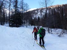 Testa_Cordella_12_13