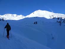Testa_Cordella_12_17