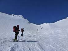 Testa_Cordella_12_29