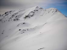 Testa_Cordella_12_33a_Flassin