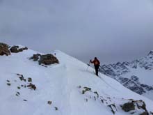Testa_Cordella_12_37