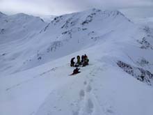 Testa_Cordella_12_50
