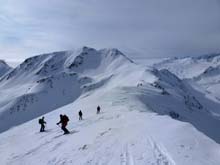 Testa_Cordella_12_53_D